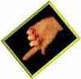 Pointing Hand