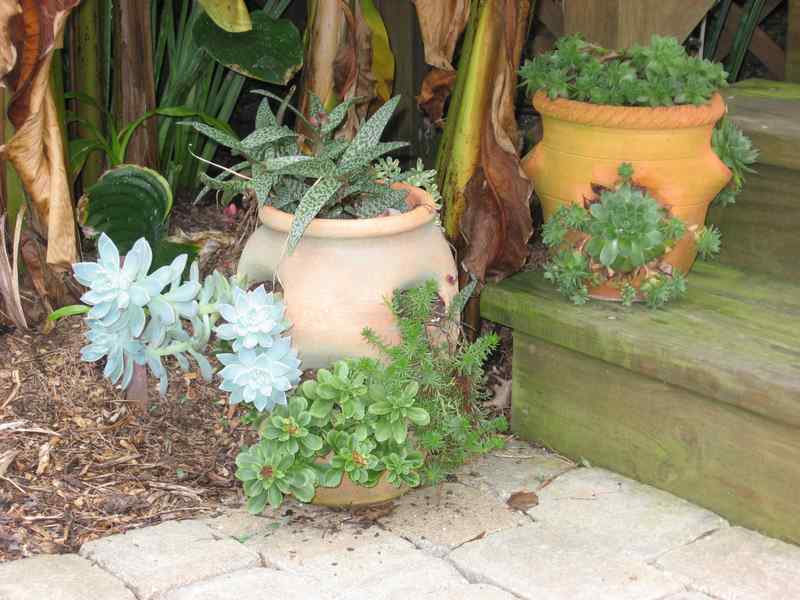 Strawberry pots