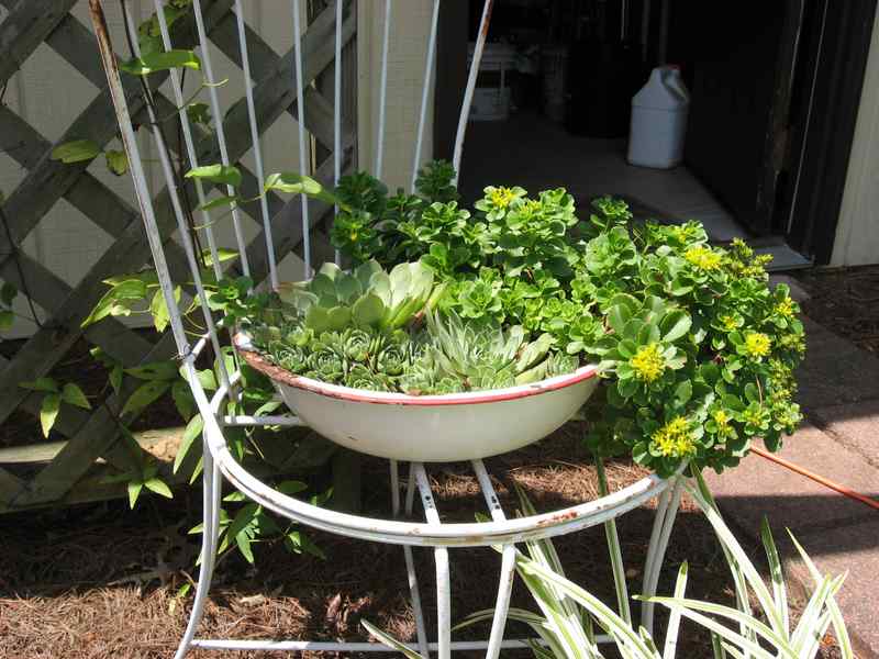 Washpan flower pot